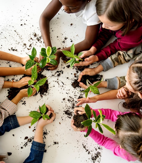 Premium Photo | A Group Of Primary Schoolers Planting A Tree Together