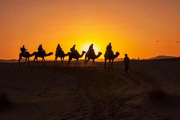 Premium Photo | A group of tourist led by a local beduin guide riding ...