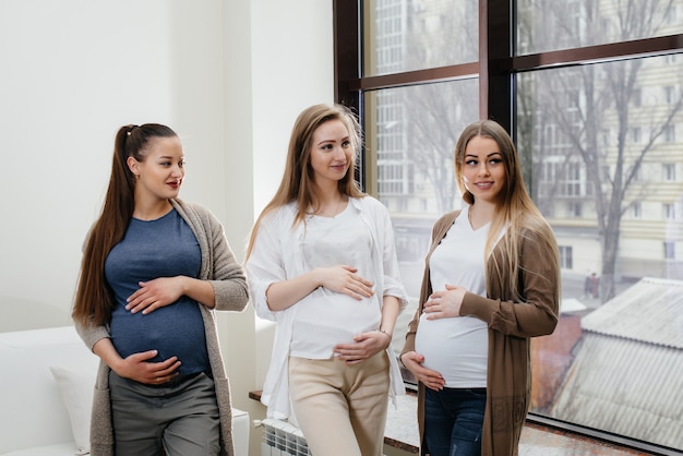 Premium Photo | A group of young pregnant girls communicate in the ...