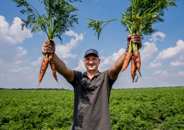 Premium Photo Growing Organic Carrots Carrots In The Hands Of A