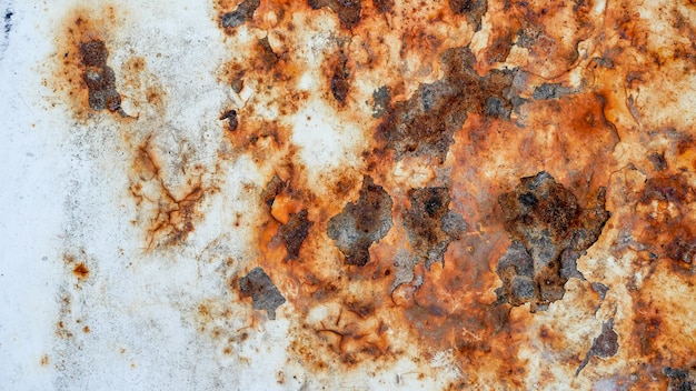 Premium Photo Grunge Rusty Metal Texture Background