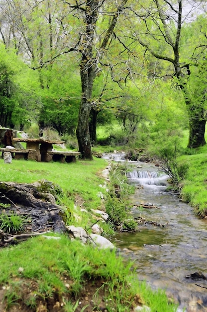 Premium Photo | Guadalquivir river through the cazorla national park jaen