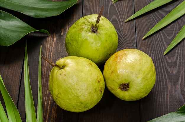 Premium Photo | Guava on the background of green palm leaves.