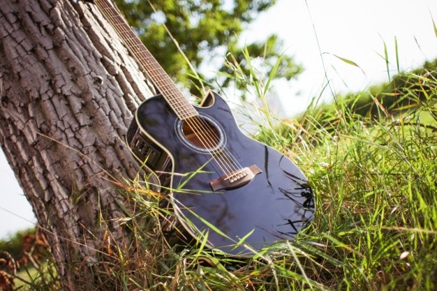 Guitar in the nature Photo | Free Download