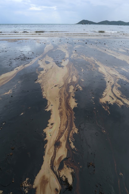 Premium Photo | Gulf oil spill is shown on a beach