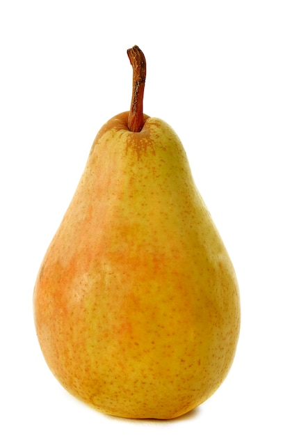 Premium Photo | Guyot pear on white