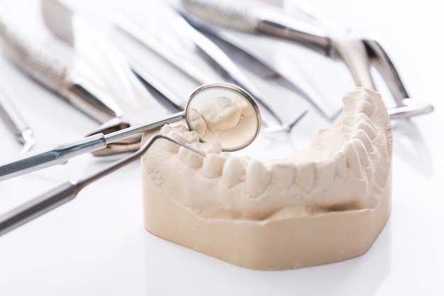 Premium Photo | Gypsum model of jaws and dental tools