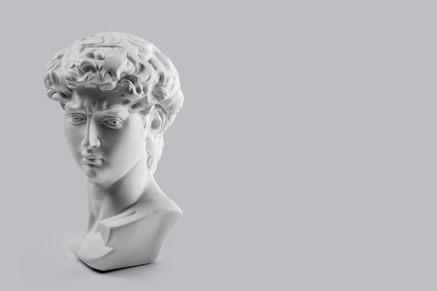 Izobrazheniya Michelangelo David Besplatnye Vektory Stokovye Foto I Psd