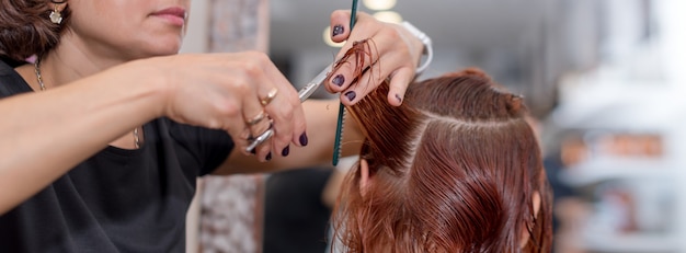 Premium Photo | Hairdresser hold in hand between fingers lock of hair