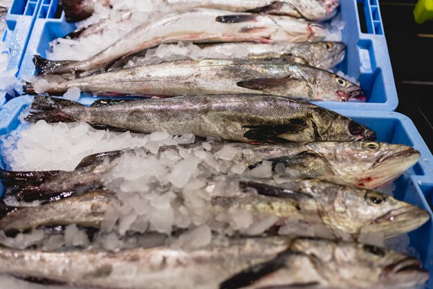 Premium Photo Hake Fish In A Box With Ice In A Fishmonger