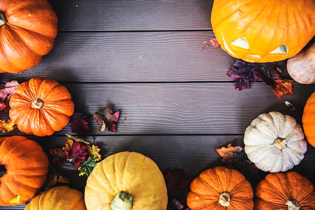 Halloween pumpkins on wooden background Photo | Free Download