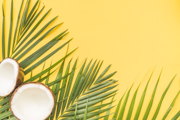 Premium Photo Halves Of Coconut And Palm Leaves In Corner