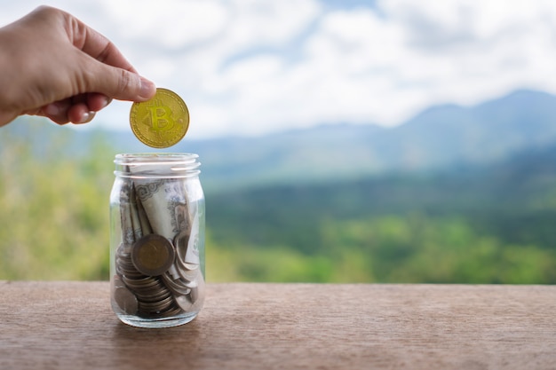 coin drop cryptocurrency