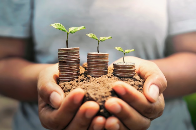 Hand holding money with plant growing on soil. Premium Photo