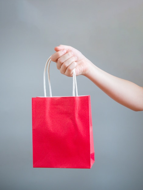Download Hand holding red bag for mockup blank template isolated on ...