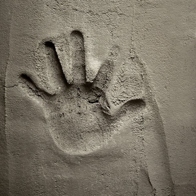 Hand print on cement mortar wall Photo | Premium Download