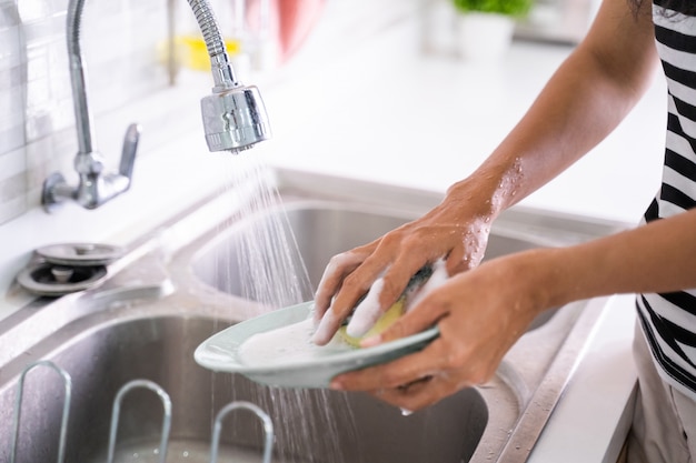 Hand washing a plate on a sink Premium Photo