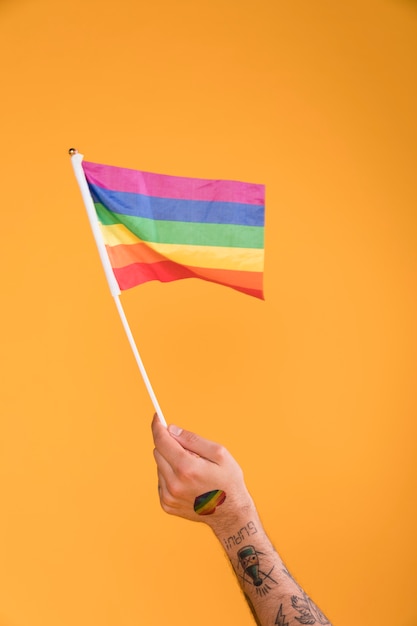 Free Photo Hand Waving With Lgbt Flag