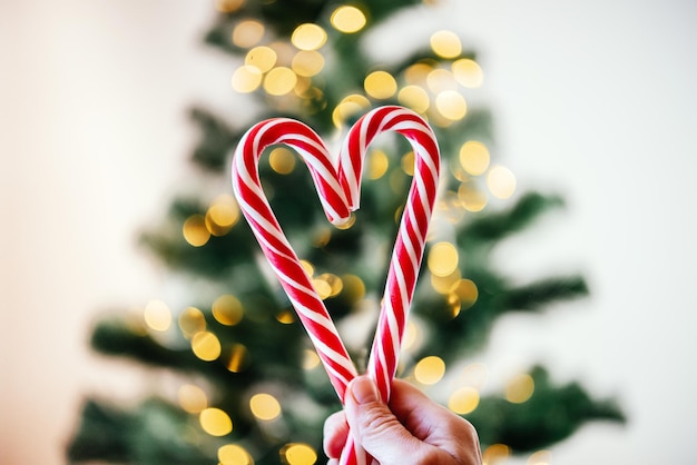 Premium Photo | Hands holding candy canes in the shape of heart against ...
