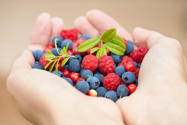 Premium Photo | Hands holding fresh berries