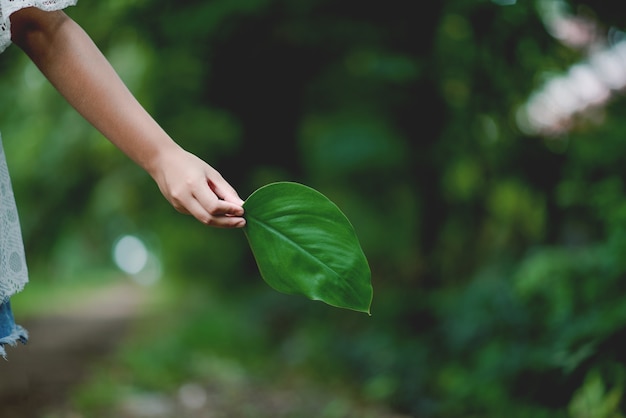 Premium Photo Hands And Nature Love Bright Love Have To Give Each Other Love And Beauty In A Natural Way