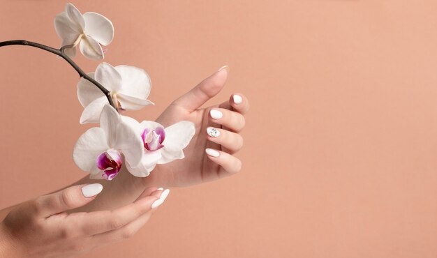 蘭の花とベージュ色の背景に白い長い爪を持つ若い女性の手 プレミアム写真