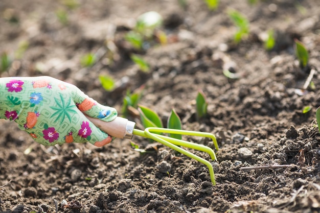 Free Photo | Hands planting