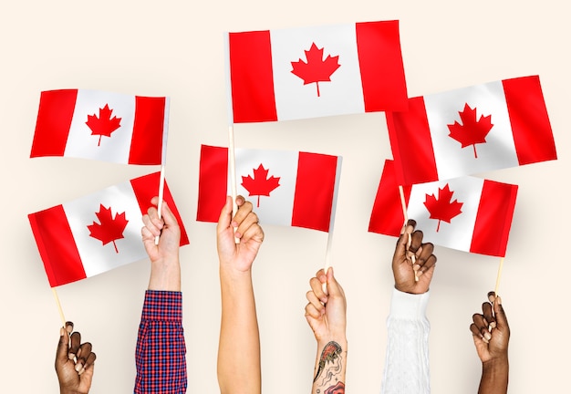 Hands waving flags of canada Free Photo