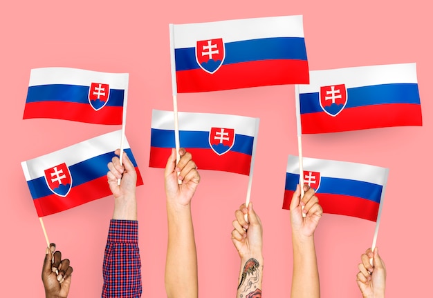 スロバキアの国旗を振っている手 無料の写真