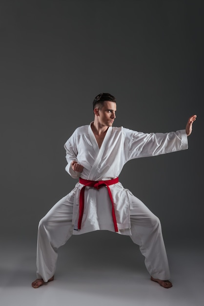 Premium Photo | Handsome sportsman dressed in kimono practice in karate ...