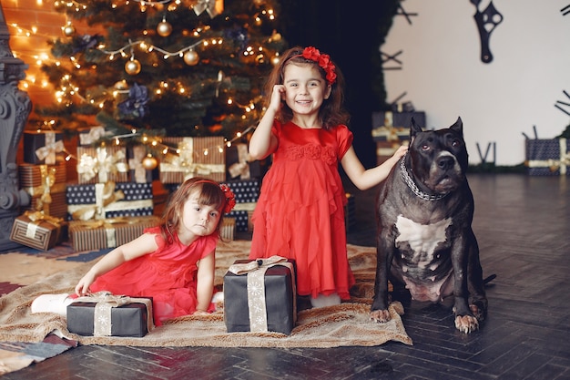 幸せな子供とクリスマスプレゼントの犬 赤いドレスを着た子供 家で犬と楽しんでいる赤ちゃん クリスマスの休日の概念 無料の写真