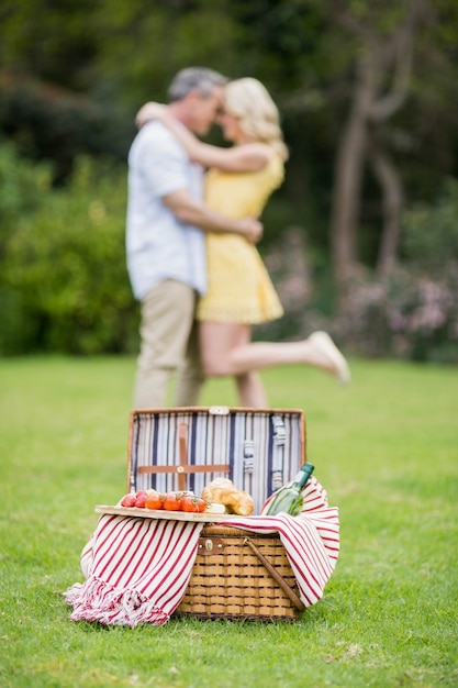 Happy couple hugging next to picnic basket outside Photo | Premium Download