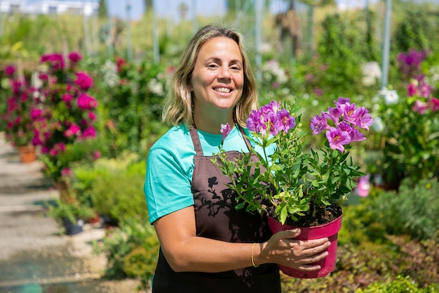 温室の中を歩いて 鉢植えの顕花植物を持って 笑顔で幸せな女性の花屋 ミディアムショット コピースペース ガーデニングの仕事や植物学の概念 無料の写真