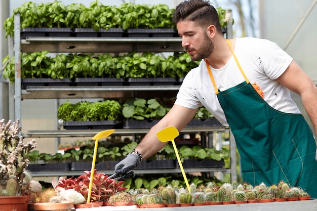 premium-photo-happy-male-nursery-worker-trimming-plants-in-greenhouse