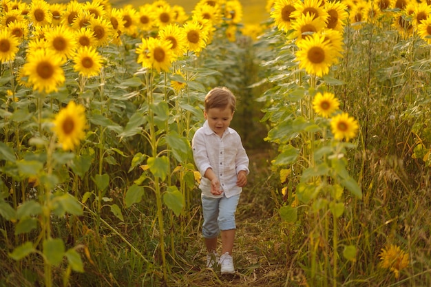 幸せな若い家族 母の父と息子は ひまわり畑で笑って 抱いて 抱いて 無料の写真