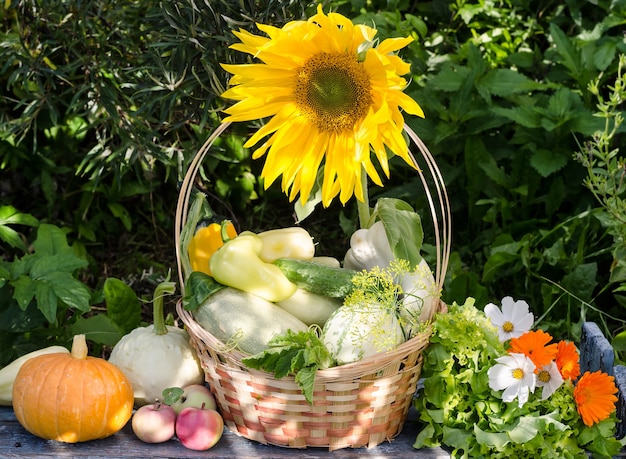 basket squash