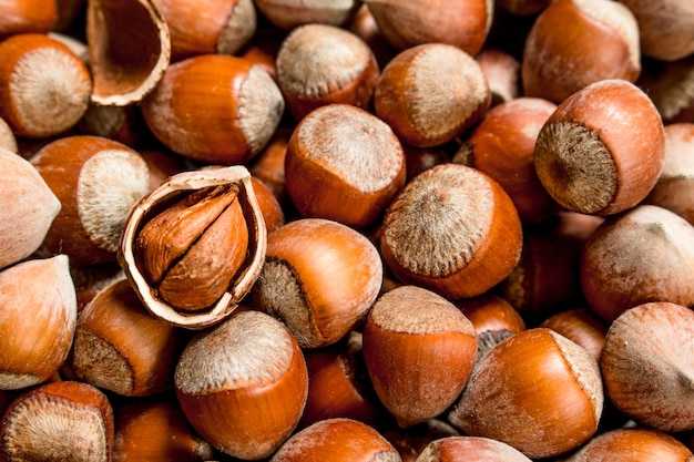 Premium Photo | Hazelnuts in the shell. selective focus