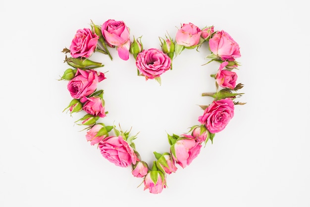 Heart made with pink roses on white background Free Photo