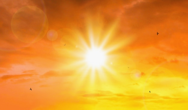 極端な太陽と空の熱波 プレミアム写真