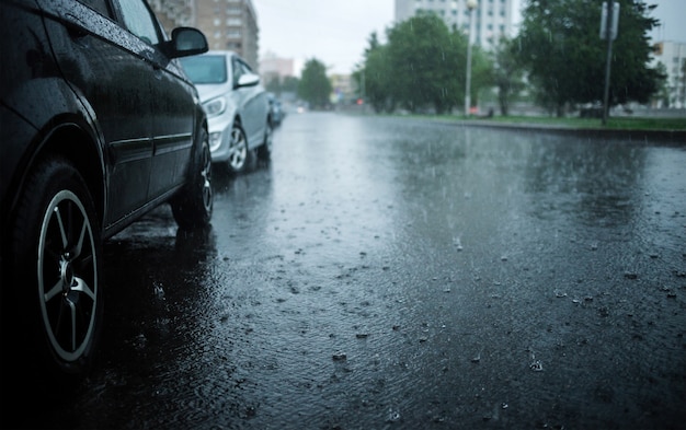 Premium Photo | Heavy downpour in the city. city street flooded with ...