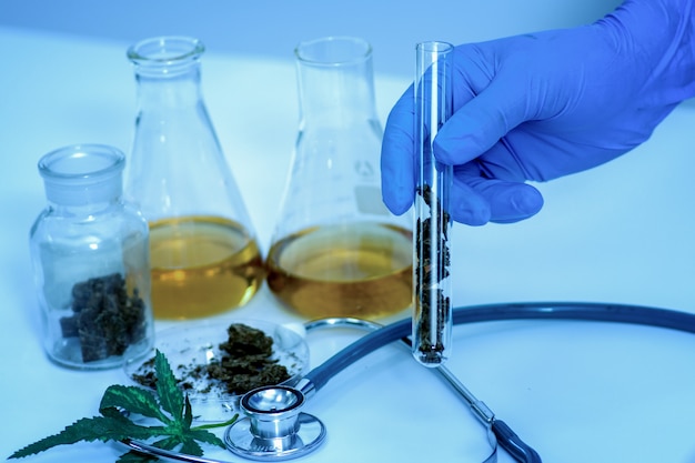 Herbal medicine cannabis in lab. Photo | Premium Download