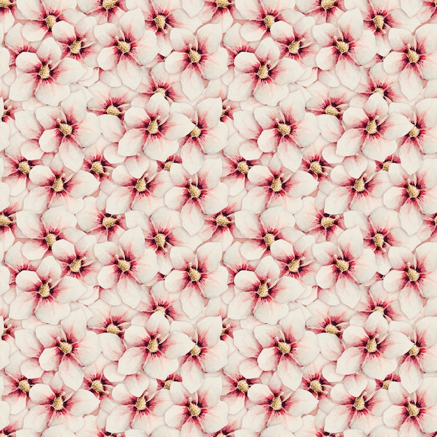森ヶ賀メガタの作品からハイビスカスの花のシームレスなパターンの背景のリミックス 無料の写真