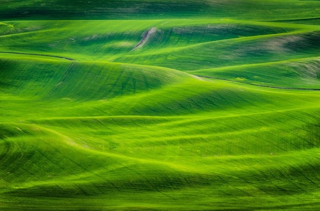 Free Photo | High angle shot of grassy hills at daytime in eastern ...