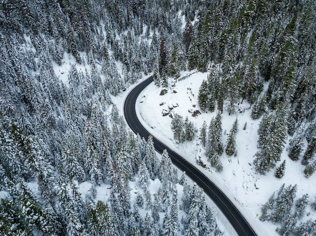 road covered in snow