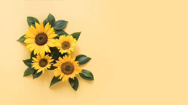 Download Free Photo High Angle View Of Beautiful Sunflowers On Yellow Surface Yellowimages Mockups