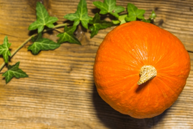 Free Photo | High angle view of squash on wooden background