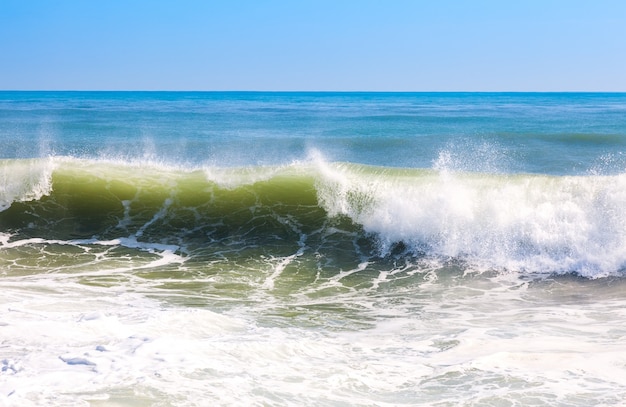高い海の波 無料の写真