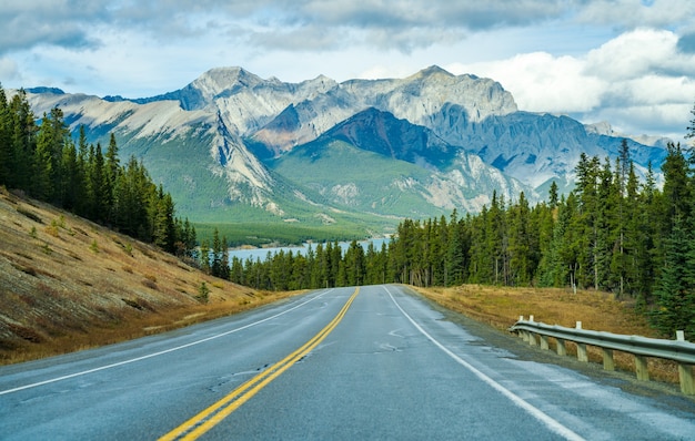 Premium Photo | Highway road in the forest, alberta highway 11 david ...