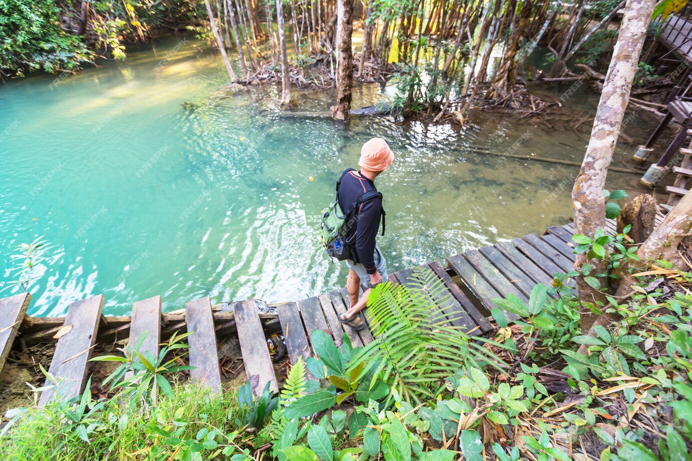 premium-photo-hike-in-jungle