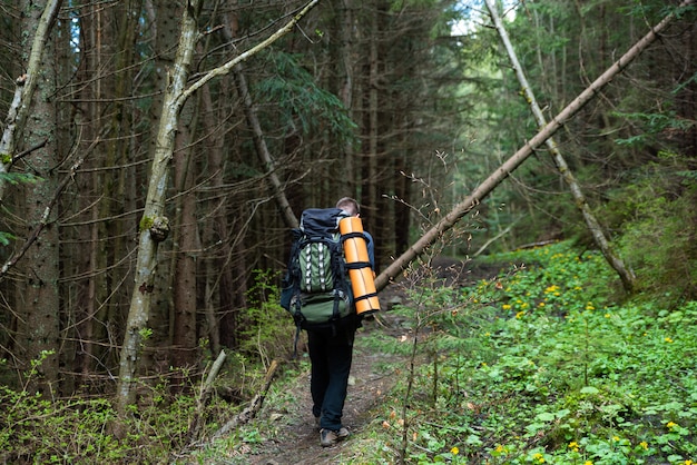 Premium Photo | Hiker with equipment spends time hiking in the mountains